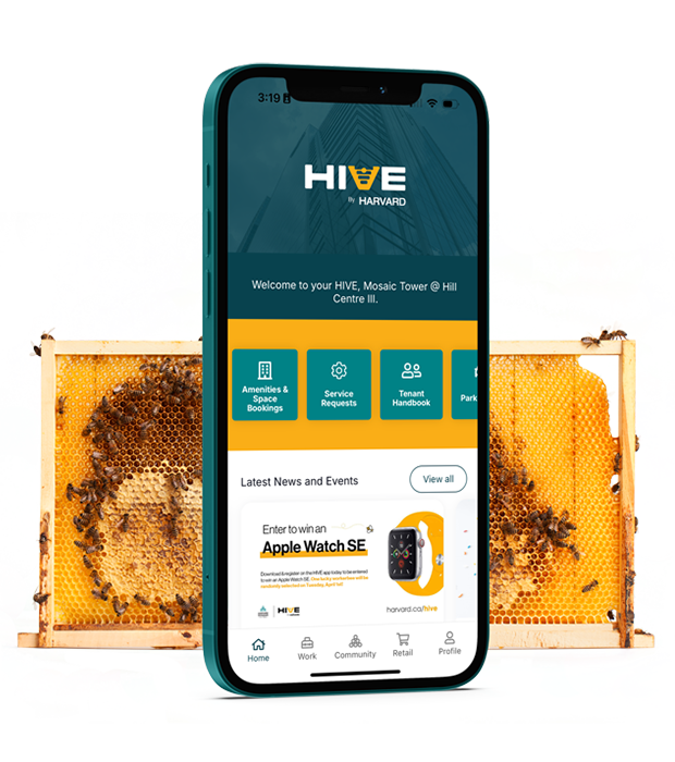 iPhone with a bee hive behind it with the Hive app on the screen